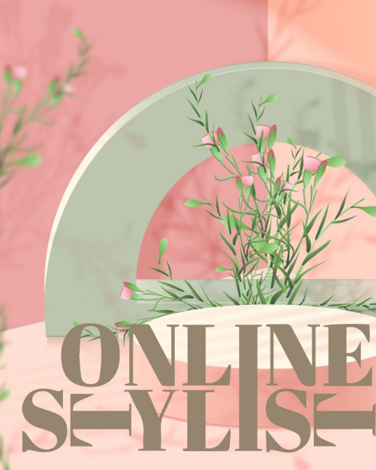 about online stylist service